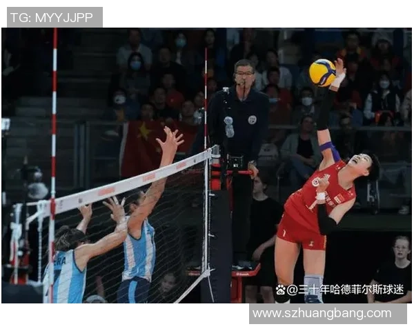 武汉排球队比赛经验引发热议球迷对战术与表现的不同看法